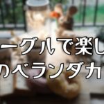 ベーグルで楽しむ 朝のベランダカフェ